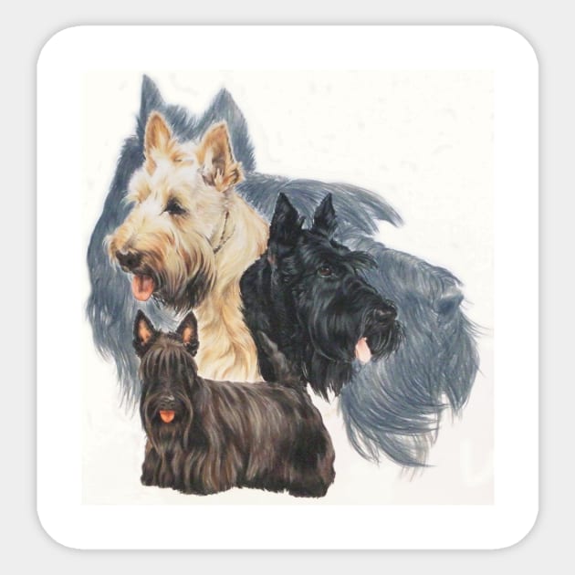 Scottish Terrier Montage Sticker by BarbBarcikKeith